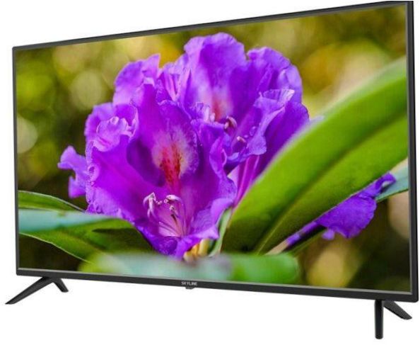 40" SkyLine 40LT5900 LED TV (2019), schwarz