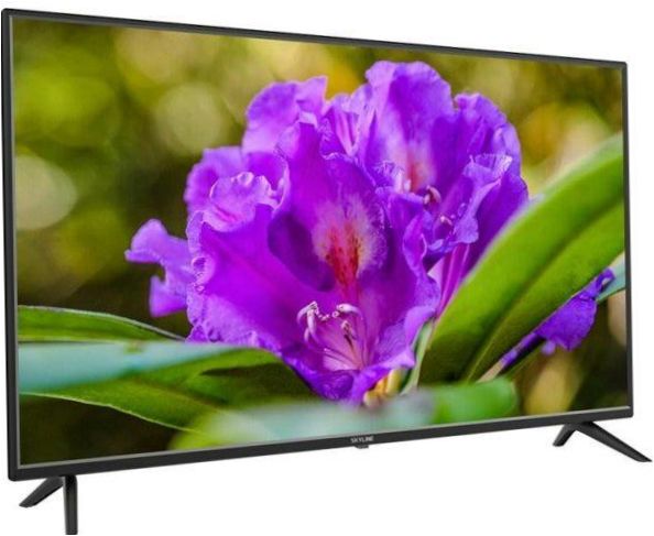 40" SkyLine 40LT5900 LED TV (2019), schwarz