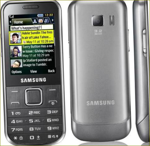 Samsung-Tastentelefon in einem Metallgehäuse
