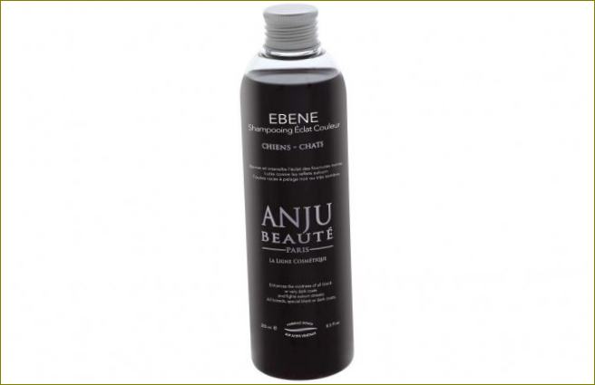 Anju Beaute Shampoo Edles Schwarz, 1:5