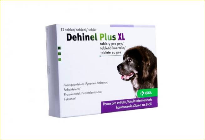 Dechinel plus Tabletten für Hunde für Würmer