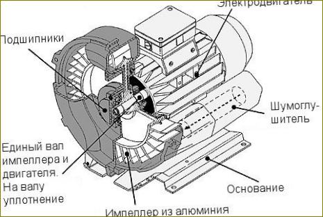 Schema der Vortex-Pumpe