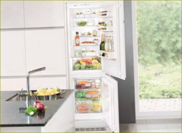 Kühlschrank mit oder ohne Abtropffläche: Was sind die Unterschiede, was ist besser, was sind die Vor- und Nachteile?