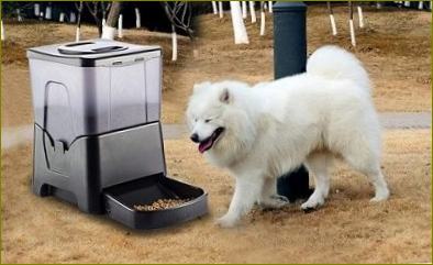 Automatischer Futtertrog für große Hunde