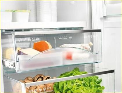 Lebensmittel im Bosch-Kühlschrank