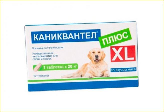 Caniquantel Plus Tabletten für Hunde gegen Würmer