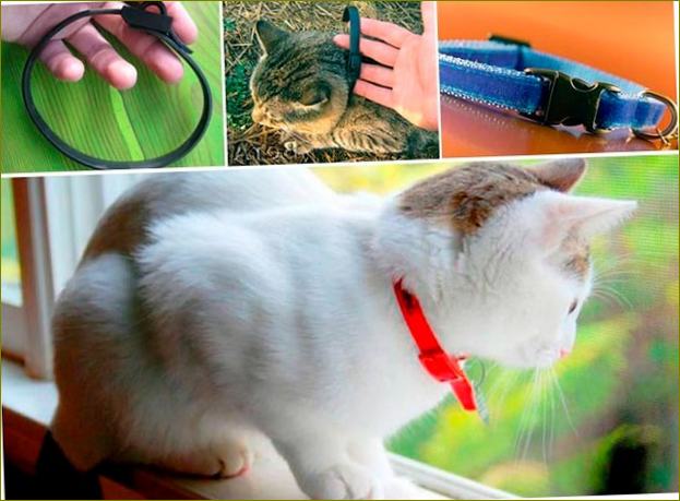 Therapeutisches Halsband gegen Zecken und Flöhe Gamma für Katzen Bild