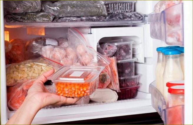 Tipps vom Profi zum Abtauen des Kühlschranks