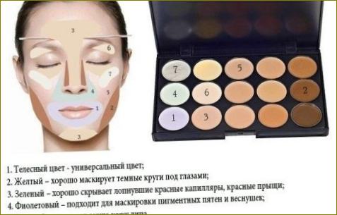 Wie man Concealer für das Gesicht verwendet. Schritt-für-Schritt-Anleitung mit Fotos, Schema: mit Foundation, flüssig, trocken, farbig, Stift, Palette