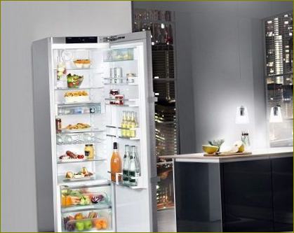 Kühlschrank für die Einzimmerwohnung
