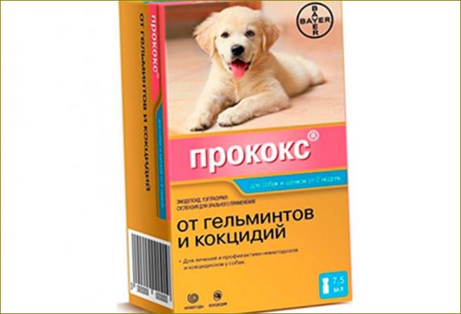 Procox Wurmkur für Hunde