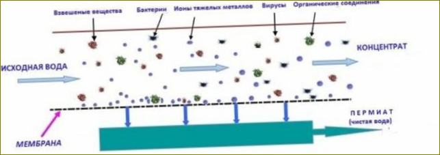 Prinzip der Umkehrosmose-Reinigung