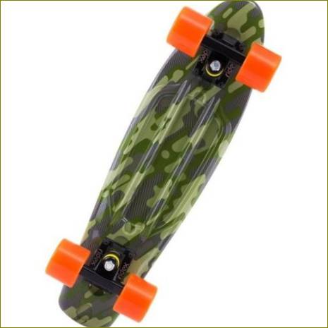 Longboards: Typen und Eigenschaften, Auswahl, Bewertung der besten Modelle