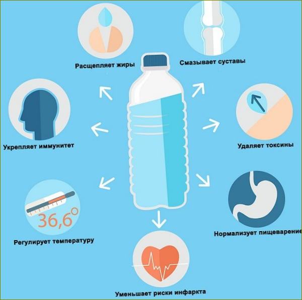 Die Vorteile von Wasser für den Körper
