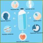 Die Vorteile von Wasser für den Körper