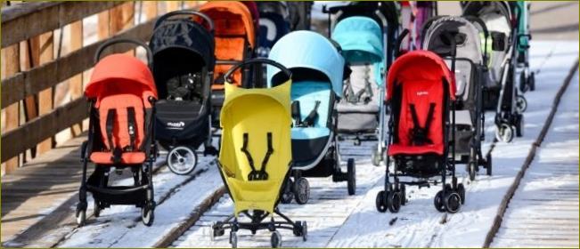 Teure Premium-Kinderwagen: Ranking der besten Modelle 2022 anhand von Bewertungen erfahrener Mütter, Vor- und Nachteile, Preisvergleich